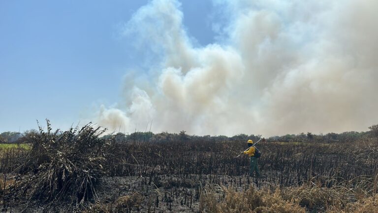 Por incendios en Parque Isla Salamanca, del Magdalena, Distrito emite recomendaciones
